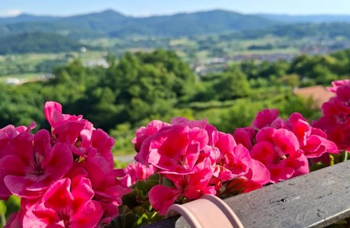 Varazdinske Toplice Villa | Milla Sky
