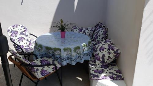 Gruz Apartment | Mini apartment Petra - rooms Purple & Green with kitchen and garden