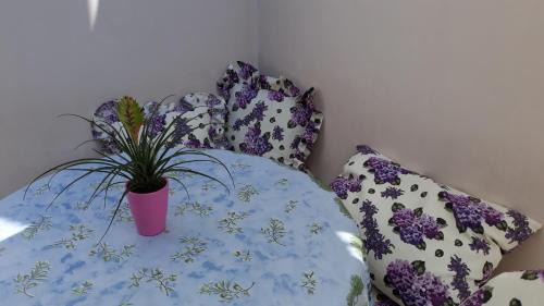 Gruz Apartment | Mini apartment Petra - rooms Purple & Green with kitchen and garden