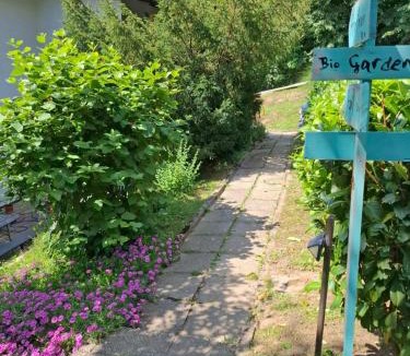 Sandrovac Apartment | Mjesto za odmor Golden Hill