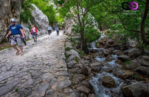 Seline Resort | Mobilehomes in Seline - Paklenica Riviera 6831