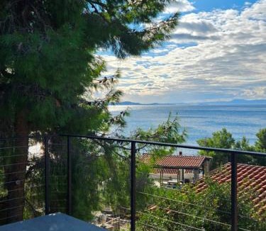 Milna (Brac) Apartment | Nada Apartment, Uvala Koramaslinova, Brač