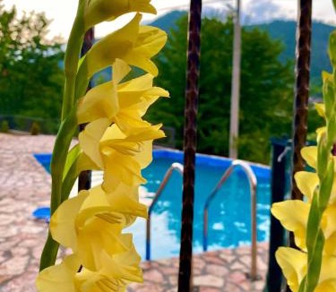 Konjic House | Neretva River Guesthouse