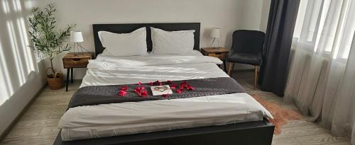 Piatra Neamt Apartment | Nico
