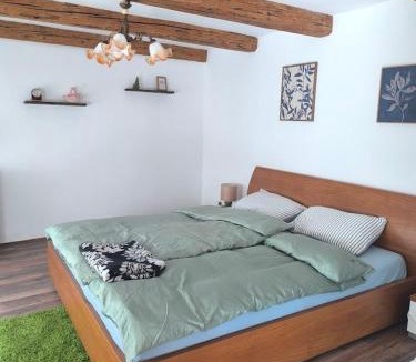 Donja Stubica House | Old house by the stream