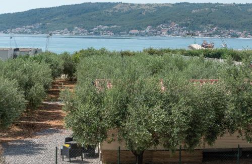 Businci Other | 'Olive grove' Camping House-near the beach