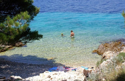 Primosten Burnji Apartment | One bedroom apartment with terrace and sea view Bilo (Primošten) (A-14601-a)