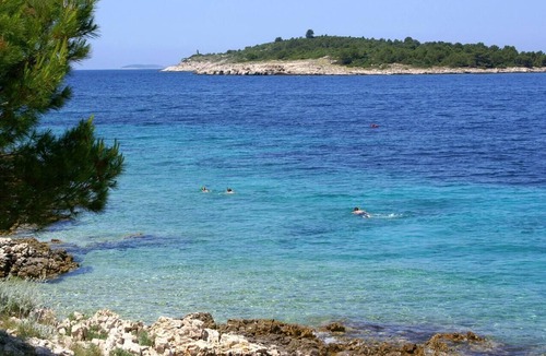 Primosten Burnji Apartment | One bedroom apartment with terrace Bilo (Primošten) (A-14601-d)