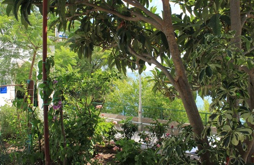 Brist Apartment | One bedroom apartment near beach Brist, Makarska (A-505-b)
