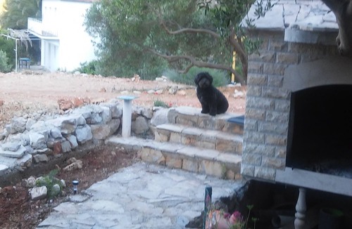 Gdinj Apartment | One bedroom apartment near beach Cove Skozanje, Hvar (A-14899-b)