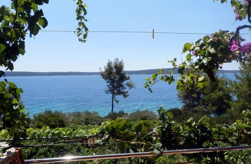 Zavala Apartment | One bedroom apartment near beach Zavala, Hvar (A-2061-a)