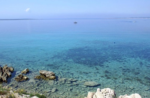 Mandre Apartment | One bedroom apartment near beach Mandre, Pag (A-4092-c)