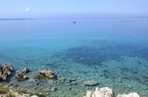 Mandre Apartment | One bedroom apartment near beach Mandre (Pag) (A-8655-b)