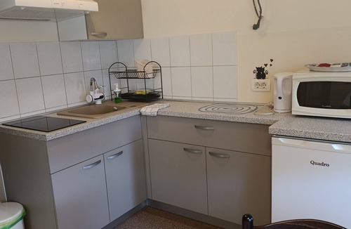 Tuheljske Toplice Apartment | One bedroom apartment with terrace Tuheljske Toplice, Zagorje (A-24875-a)