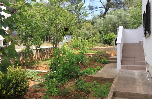 Artatore Apartment | One bedroom apartment with air-conditioning Artatore, Lošinj (A-8007-a)