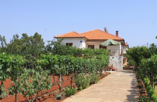 Ugljan Apartment | One bedroom apartment with balcony Ugljan (A-8257-b)