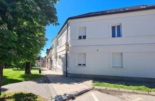 Daruvar Apartment | One Bedroom Apartment With Sauna And Hot Tub A7