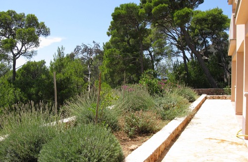 Sveta Nedjelja Apartment | One bedroom apartment with terrace Sveta Nedilja, Hvar (A-14086-a)