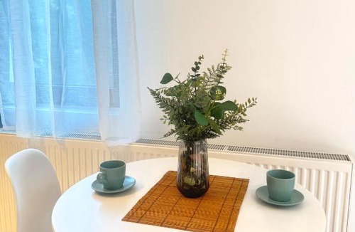 Otopeni Apartment | Otopeni Studio C2 4 Airport Therme