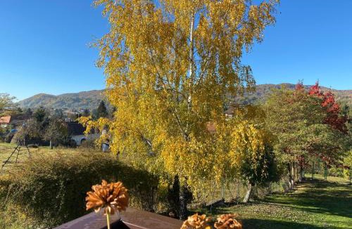 Corbeni House | Pension Irina