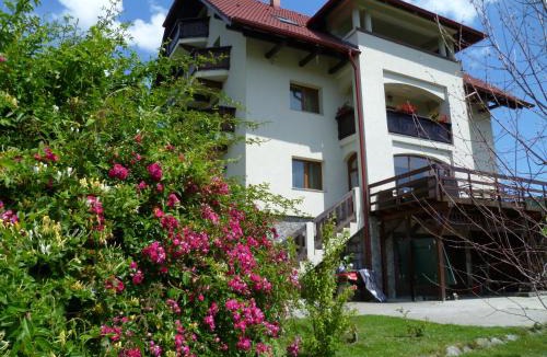 Corbeni House | Pension Irina