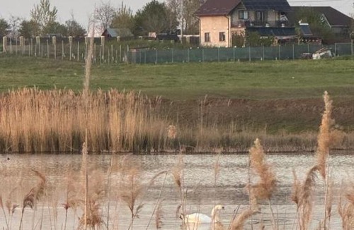 Valea Ciorii House | Pensiunea Egreta