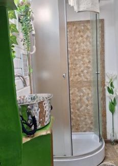 Saru Dornei House | Pensiunea Floarea Dornei