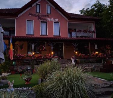 Vata de Jos House | Pensiunea Flori