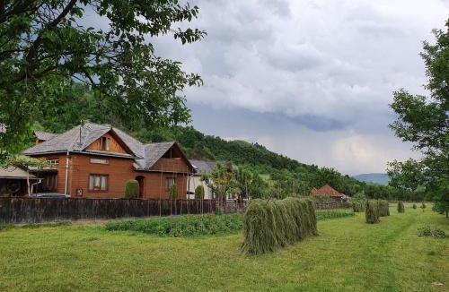 Ieud House | Pensiunea Ilea