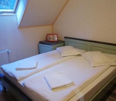 Baile Tusnad House | Pensiunea Vanatorul