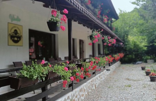 Avrig House | Pensiunea Vinatur