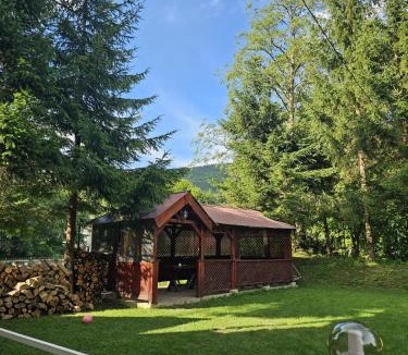 Maneciu Villa | Pensiunea Zece Brazi Cheia