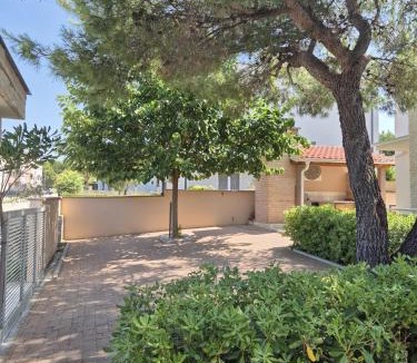 Pakostane Villa | Pine Tree Villa