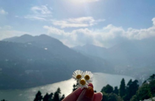 Nainital House | Prashant Homestay Nainital - Panoramic Lake View Wifi Kitchen Garden in Nainital