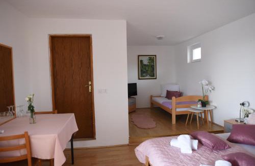 Zupanja Hotel | Prenoćište Džinić