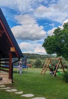 Canton 10 House | Ranč Crna stina