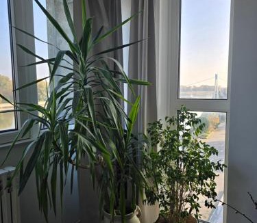 Osijek Apartment | RiverView apartment