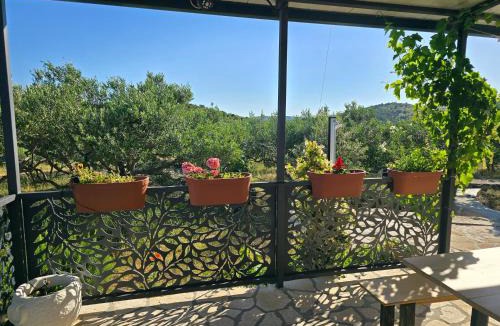 Marina Ski Chalet | Robinson house "Green house"