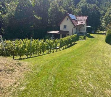 Varazdin Ski Chalet | Robinson "Mountain getaway" for Rest and Recreation sorrounded by Nature