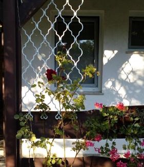Bilje House | Rooms Lutra