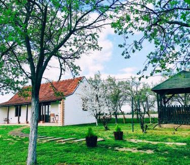 Vardarac House | Ruralna kuća za odmor Bor Anya