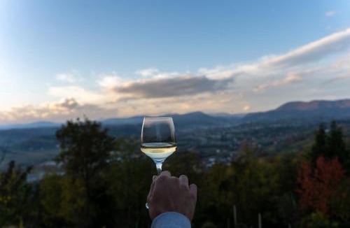 Lepajci Villa | Ruralna kuća za odmor KOVIN BREG