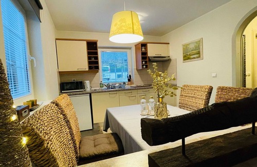 Podcetrtek Apartment | Rustic and Radiant Retreat Apartments with Terrace - Classic One Bedroom Apartment with Terrace