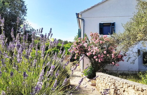 Lukoran House | Rustic House Miketa -family- friendly holiday home for nature lovers!