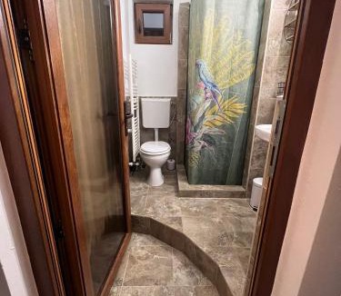 Baia Mare Apartment | Rustic house