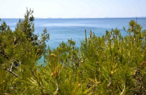 Susica Apartment | Sea Side Apartment