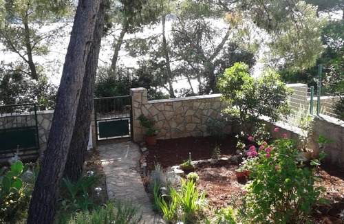 Maslinica House | Seaside holiday house Maslinica, Šolta (K-23755)