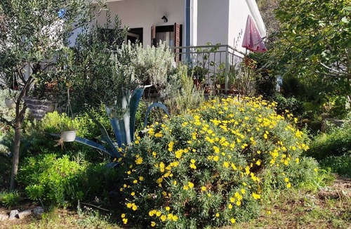 Maslinica House | Seaside holiday house Maslinica, Šolta (K-23755)