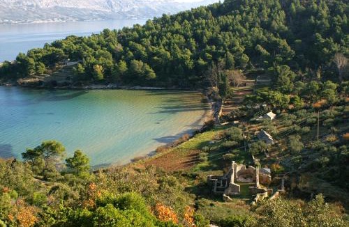 Praznica House | Secluded holiday house Postira, Brac - 17571