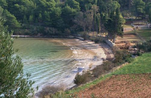 Praznica House | Secluded holiday house Postira, Brac - 17571